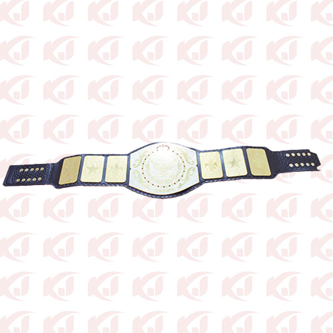 NEW Copy Belt for the WWF Junior Wrestling Championship