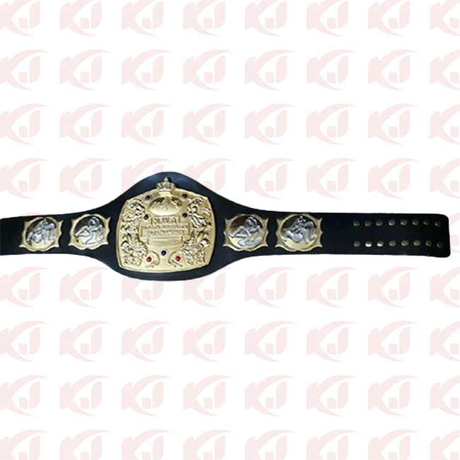 NJPW Japan Pro Wrestling NWA North American Tag Team Championship Belt