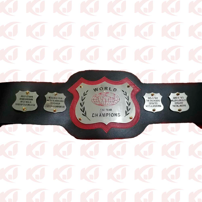 NWA World Tag Team Champion Belt from the past