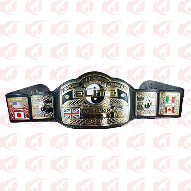 Belt for the Pro Wrestling Elite Heavyweight Title