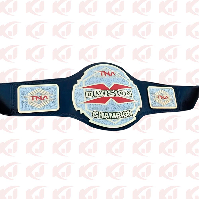 Title Belt for the TNA Division Wrestling Championship